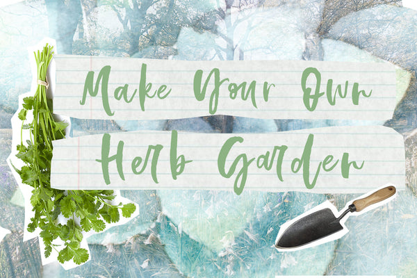 How To Make Your Own Herb Garden