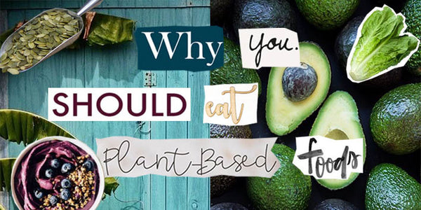 Why You Should Eat Plant Based Foods